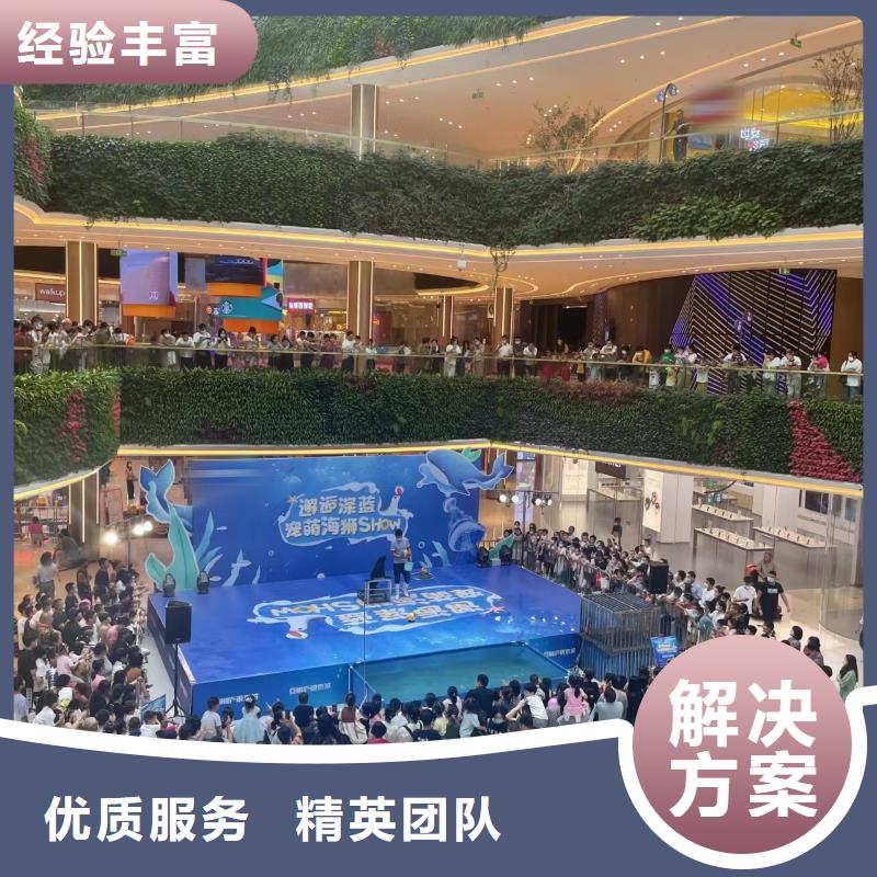 企鹅租赁动物出租