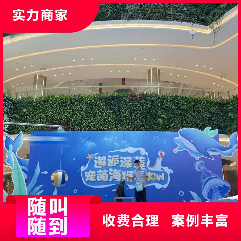 海狮表演