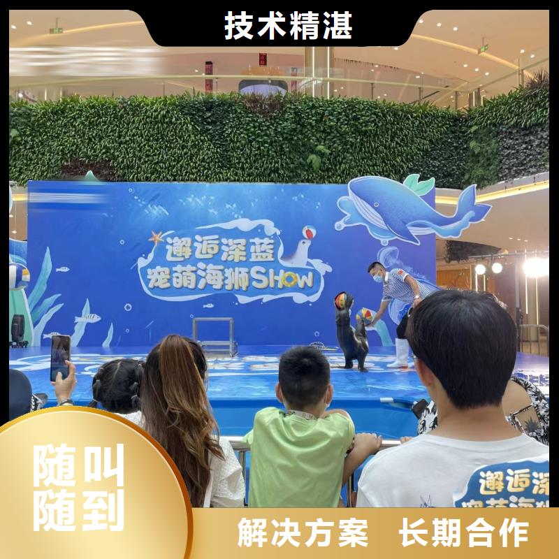 美人鱼演出出租