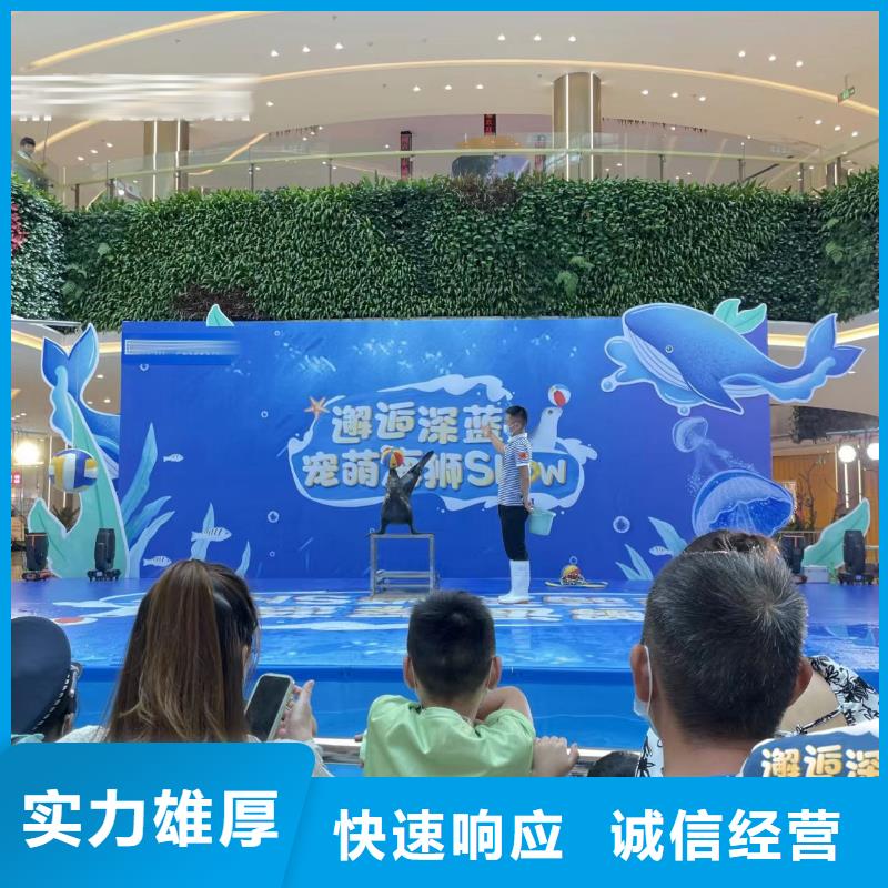 美人鱼表演出租