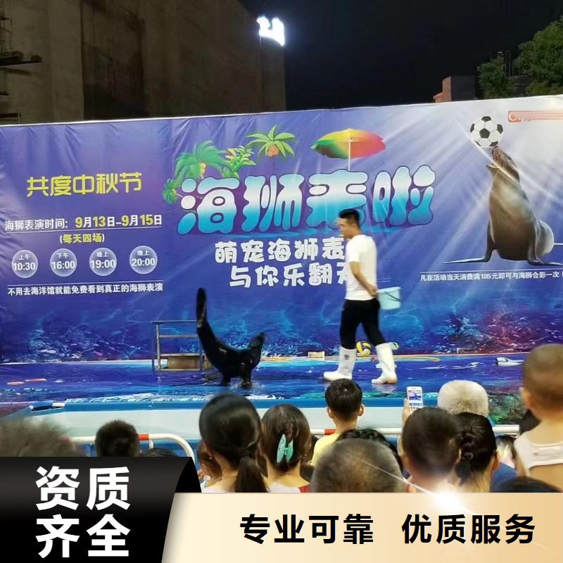 海洋展出租暖场气氛