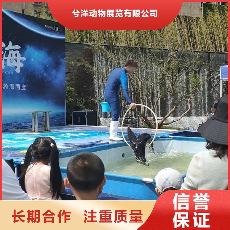 海洋生物展出租活跃气氛