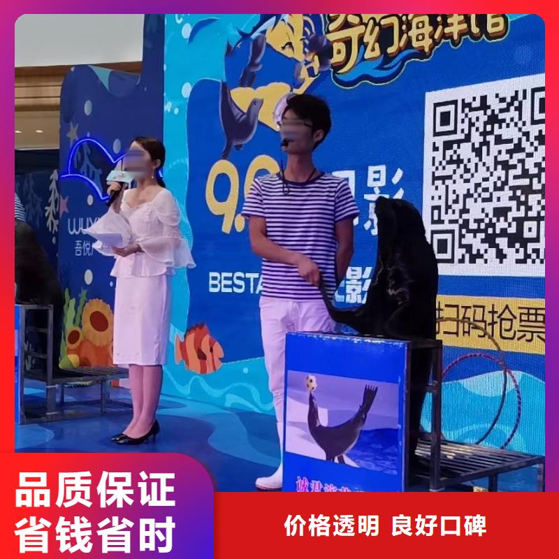 海洋主题动物表演羊驼出租比同行便宜