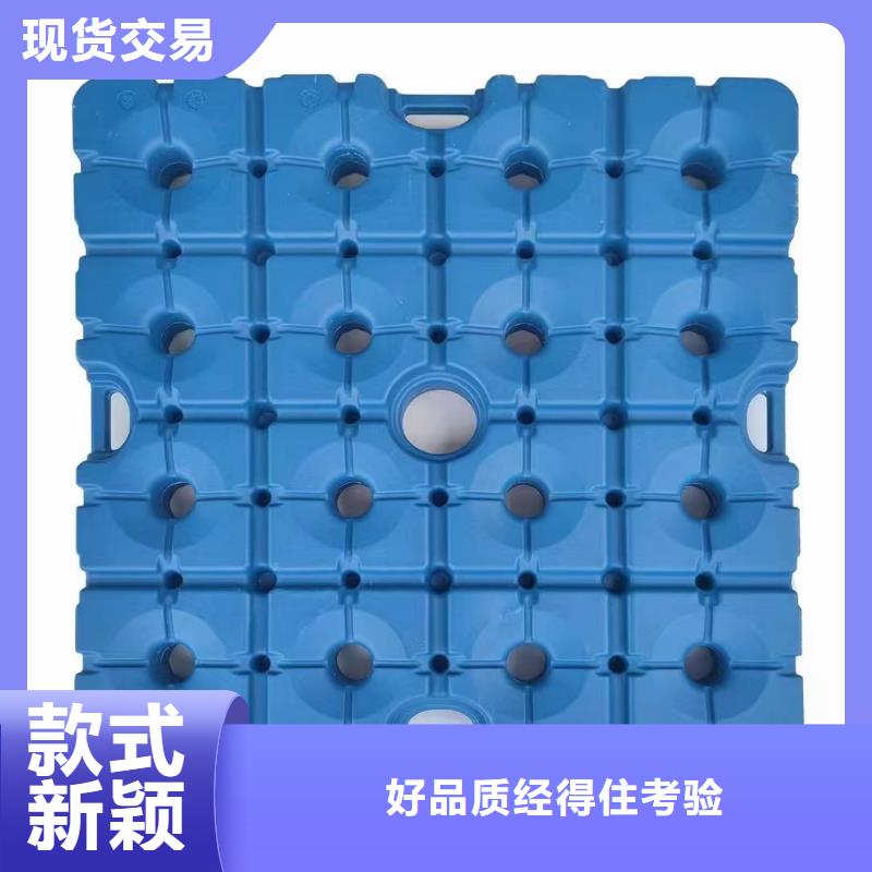 双阳区塑料托盘相关信息