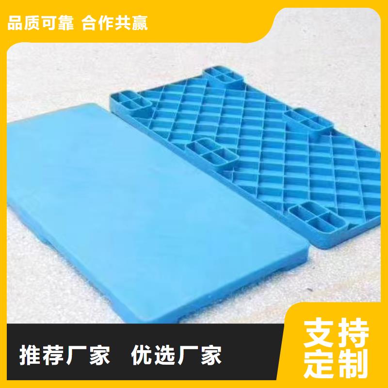 辉南县塑料拍子价格查询