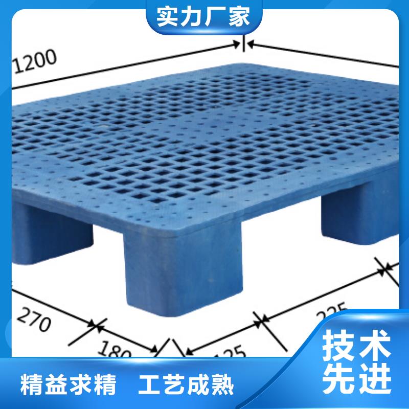 塑料拍子批发价