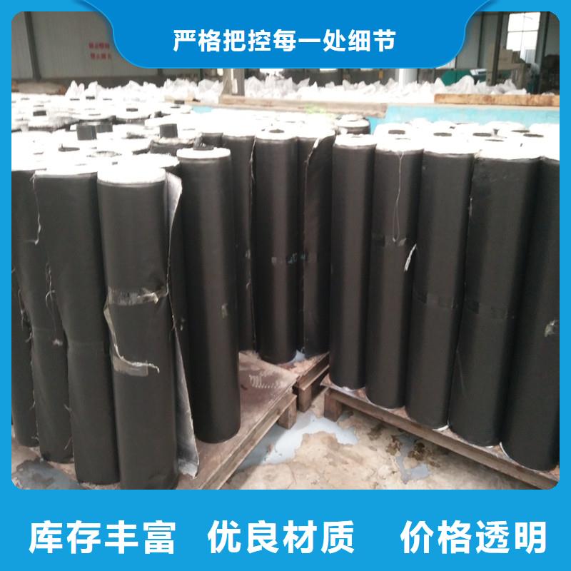 双向塑料土工格栅厂家