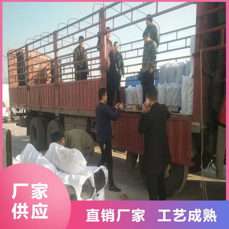 钢塑焊接土工格栅供应商