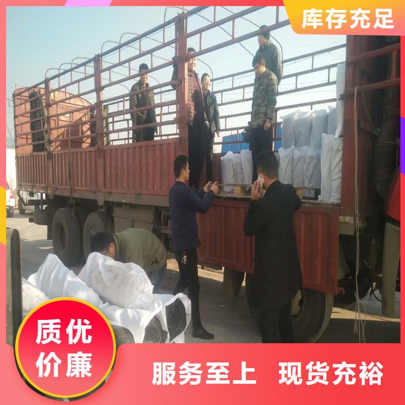 塑料土工格栅单价