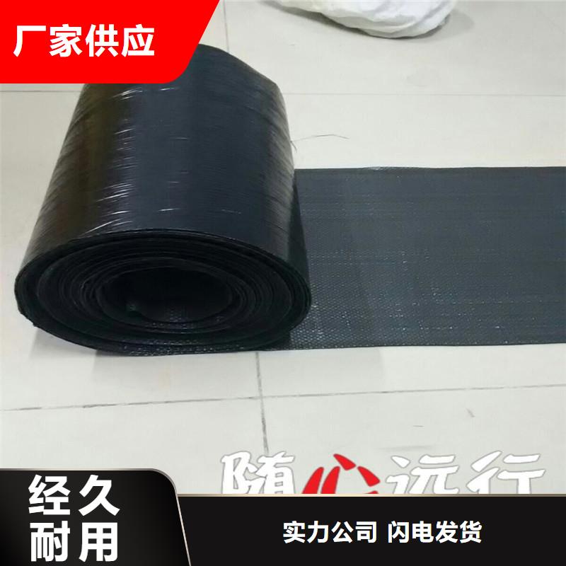 双向塑料土工格栅厂家