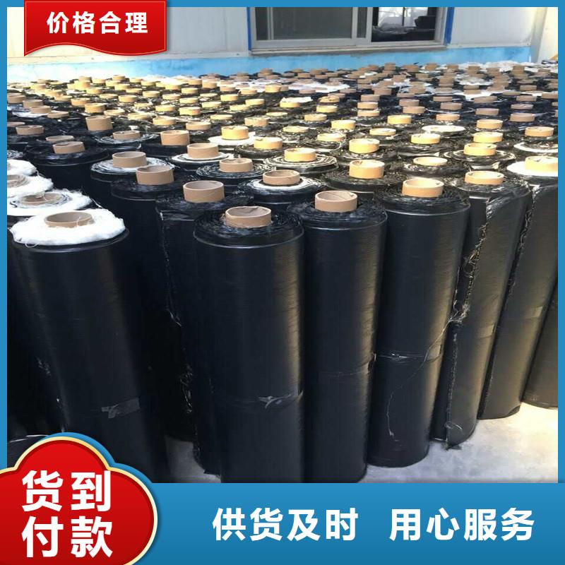 双向拉伸土工格栅厂家