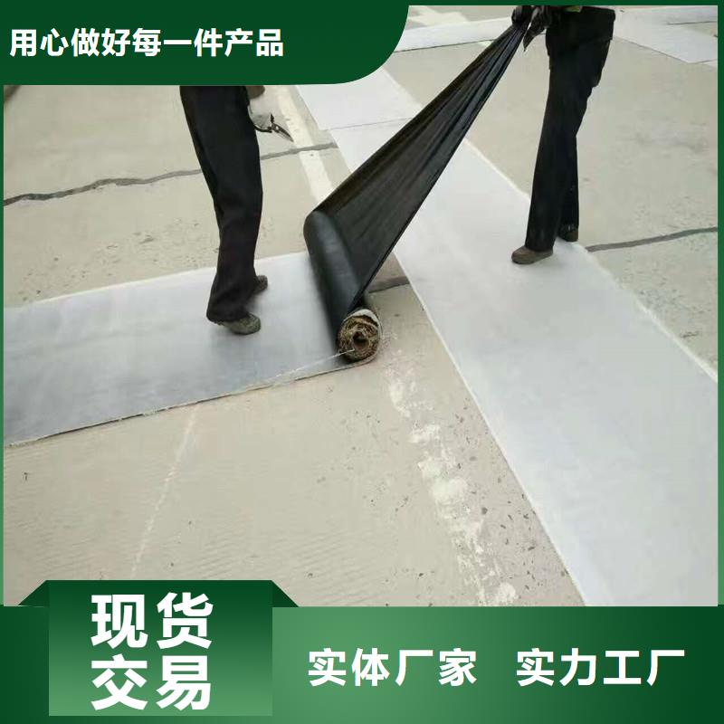 钢塑焊接土工格栅厂家价格