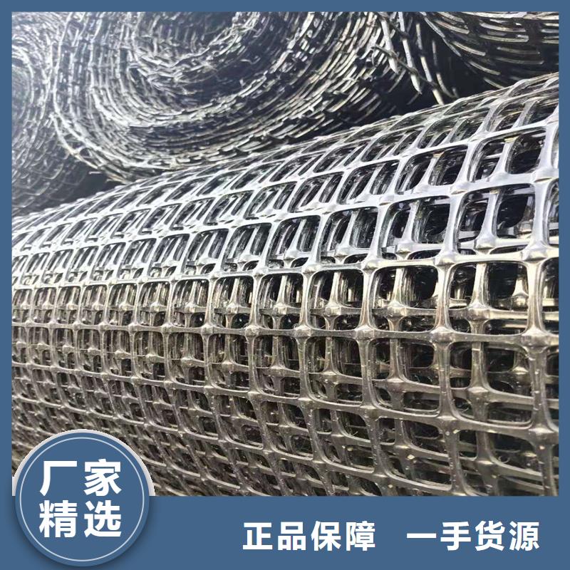钢塑土工格栅厂家