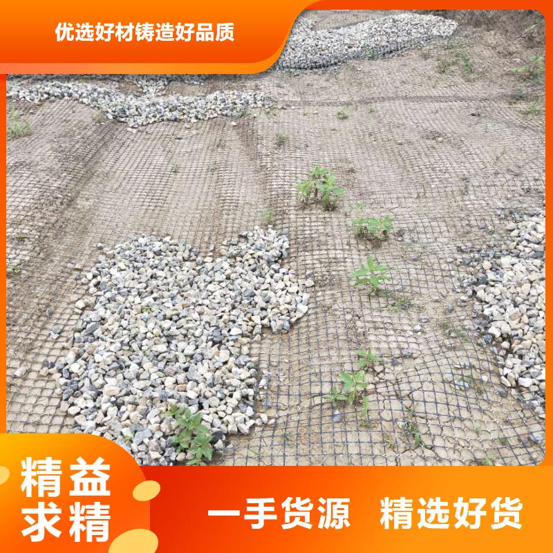 钢塑焊接土工格栅供应商