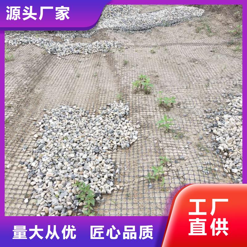 双向塑料土工格栅供应商