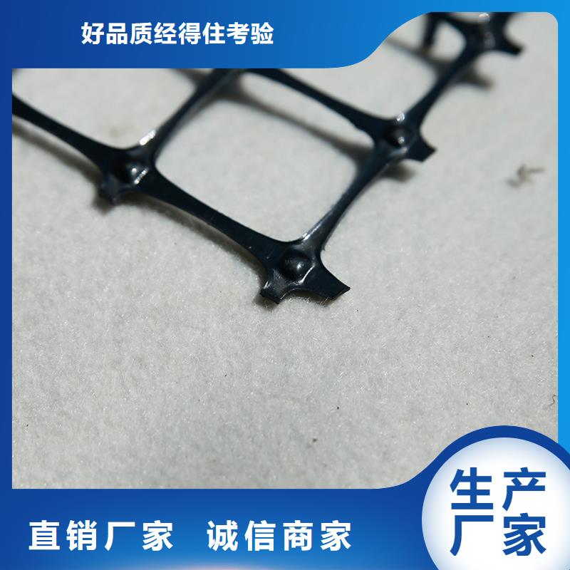 钢塑土工格栅厂家