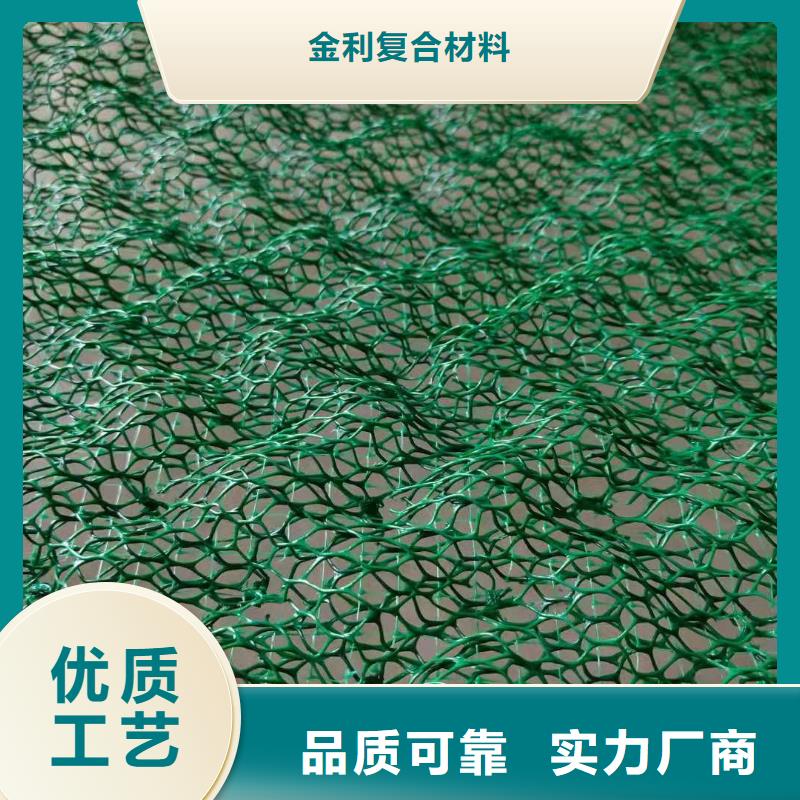 【土工布】双向塑料土工格栅源头厂家经验丰富