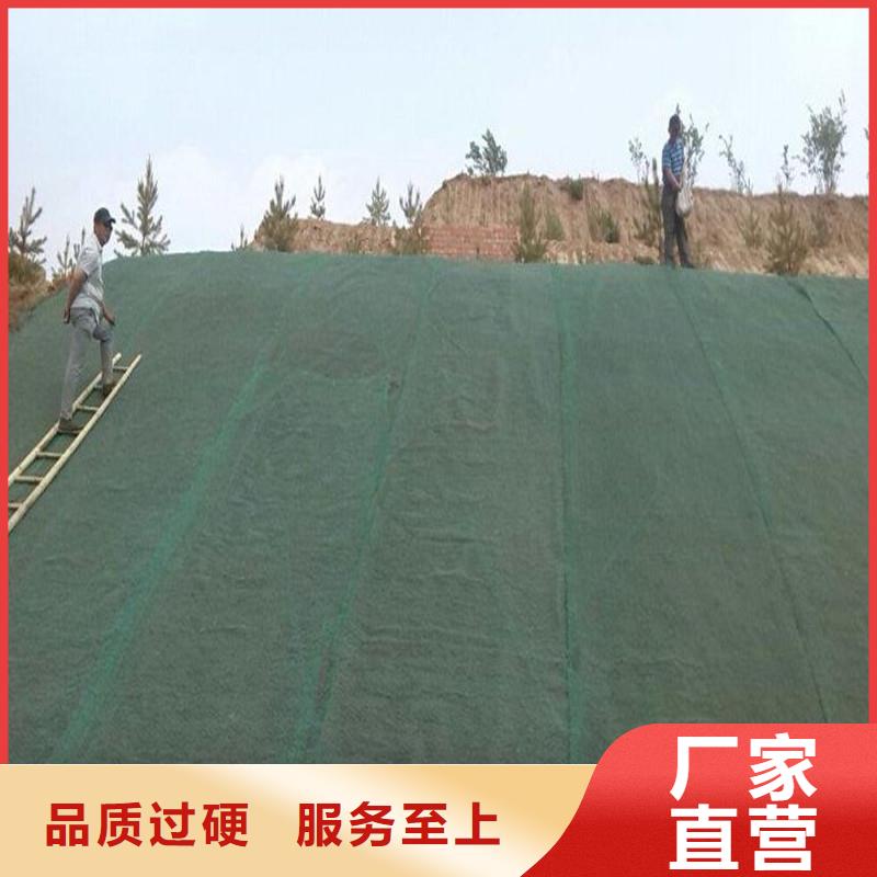 土工布_三维植被网细节之处更加用心