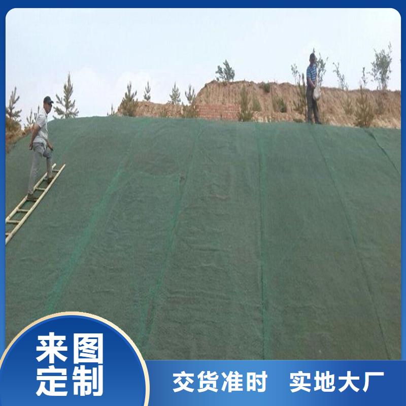 养护土工布厂家