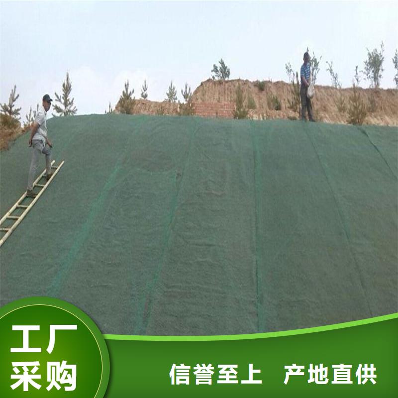 短丝土工布厂家电话