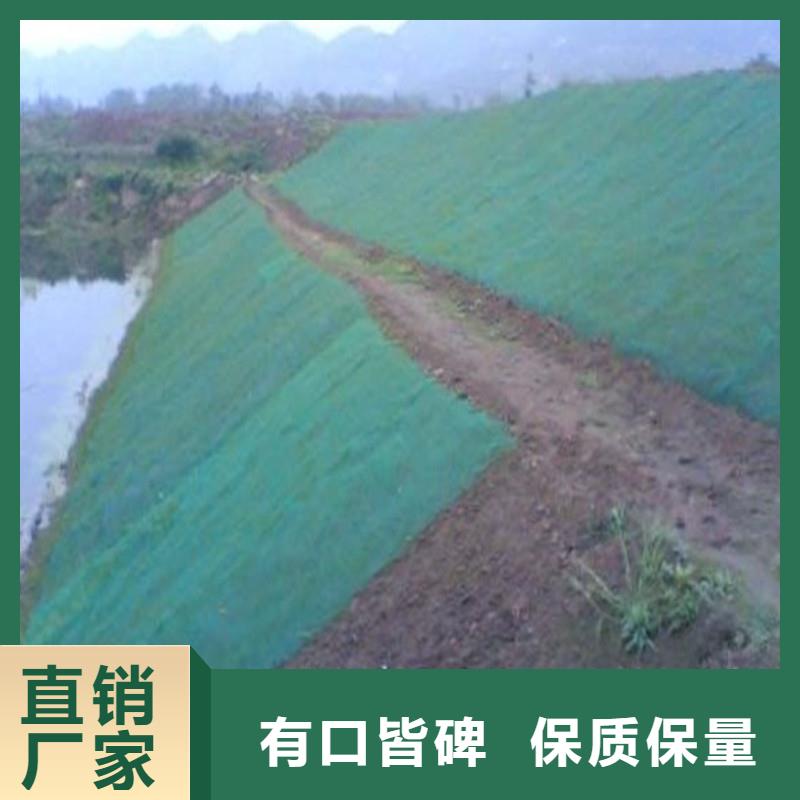 复合土工布报价