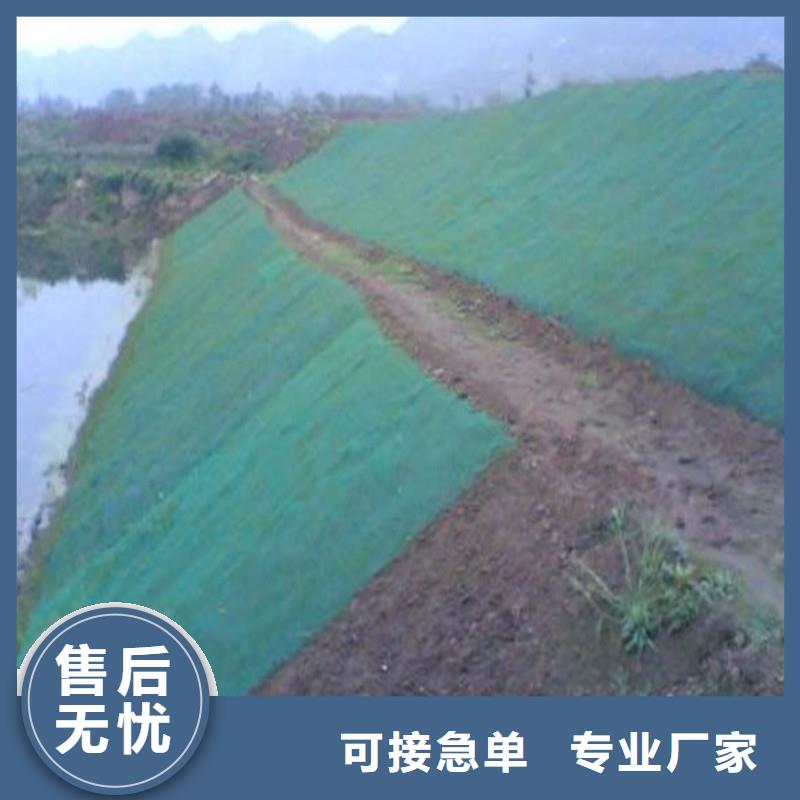 防渗土工膜厂家直销