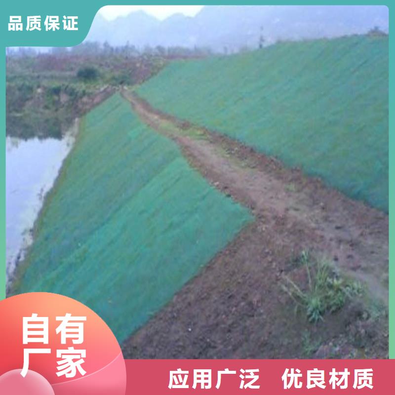 土工布玻璃纤维土工格栅注重细节