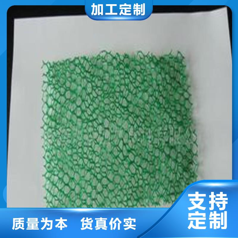 土工布矿用格栅一站式供应厂家