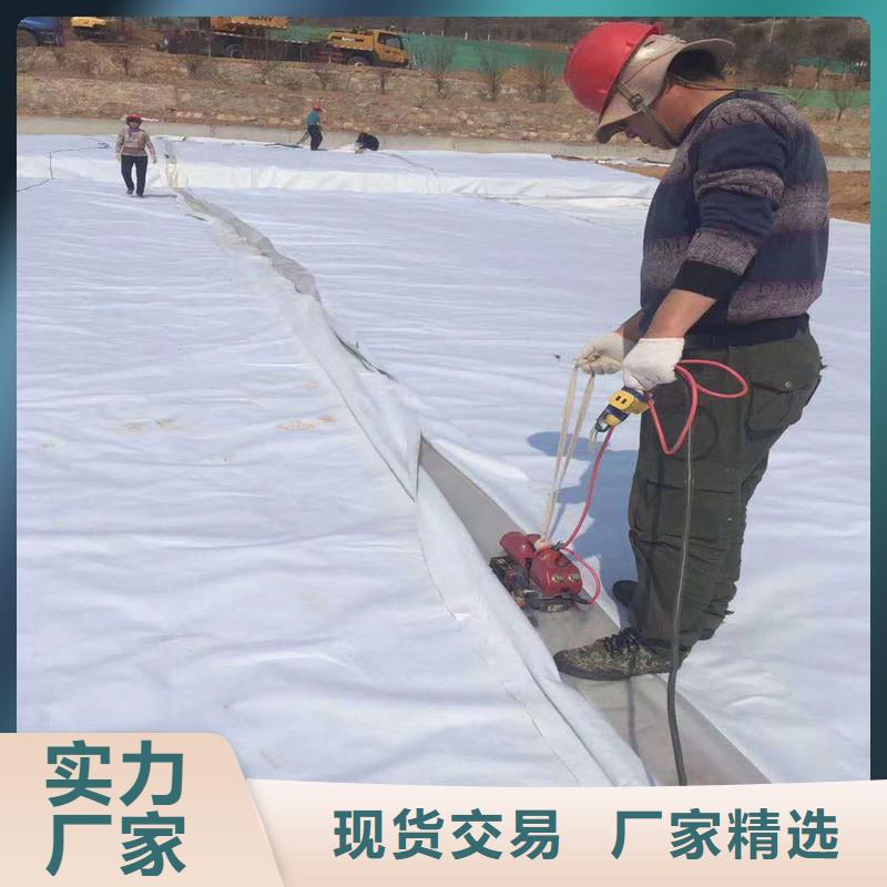 防渗土工膜单价