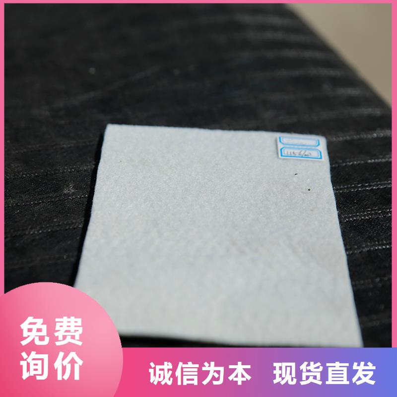 土工布土工格室品质之选