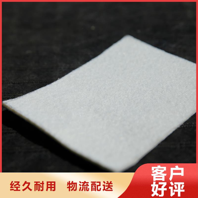 复合土工布生产厂家