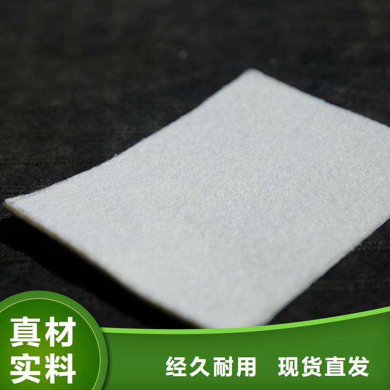 长丝土工布厂家电话