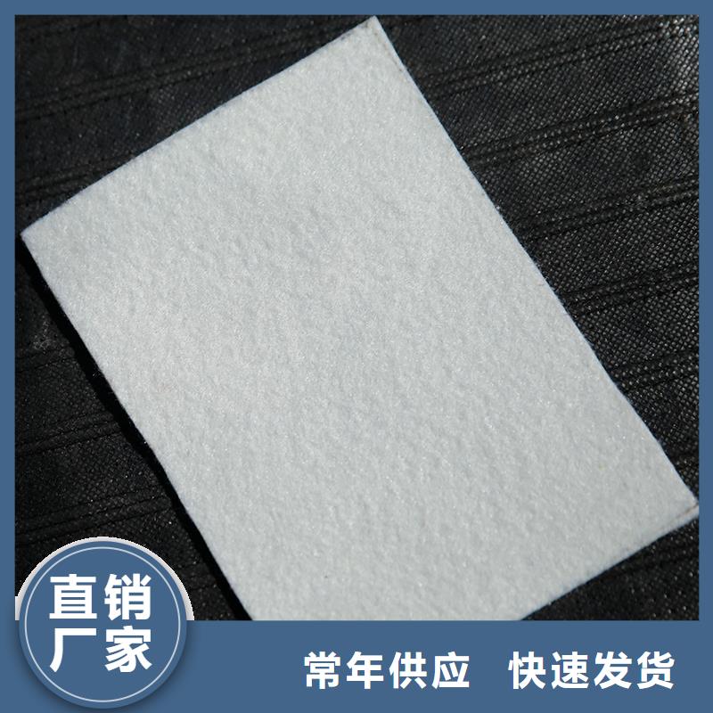 土工布双向塑料土工格栅做工精细
