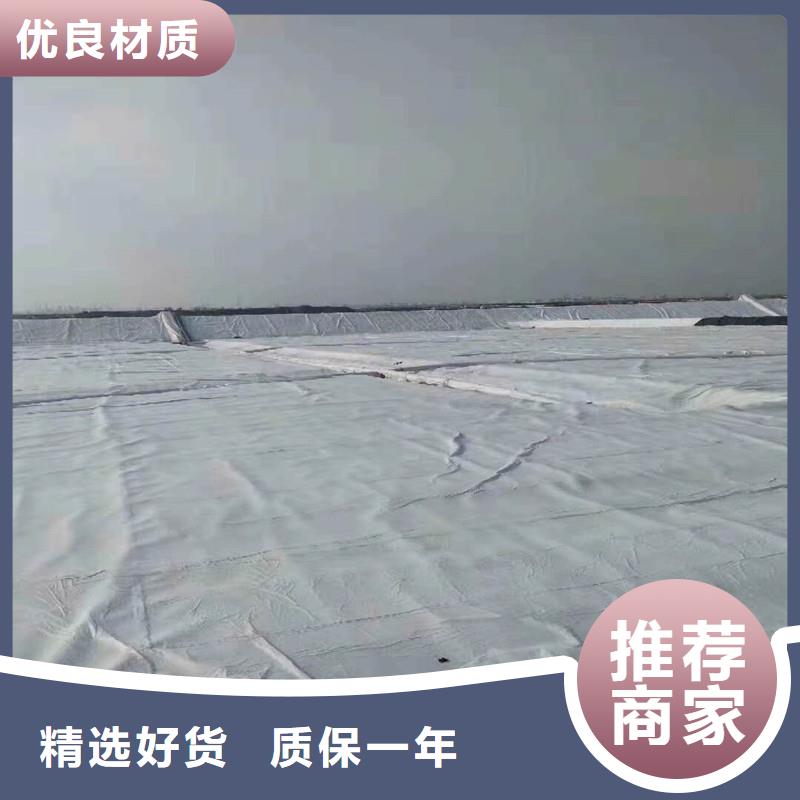 防渗土工膜厂家直销