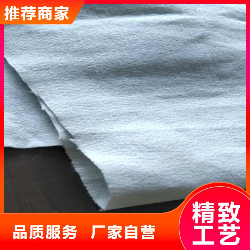 土工布矿用阻燃网专注细节更放心