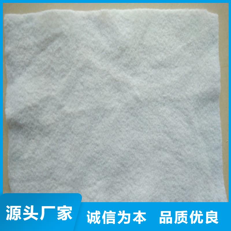 复合土工布厂家现货