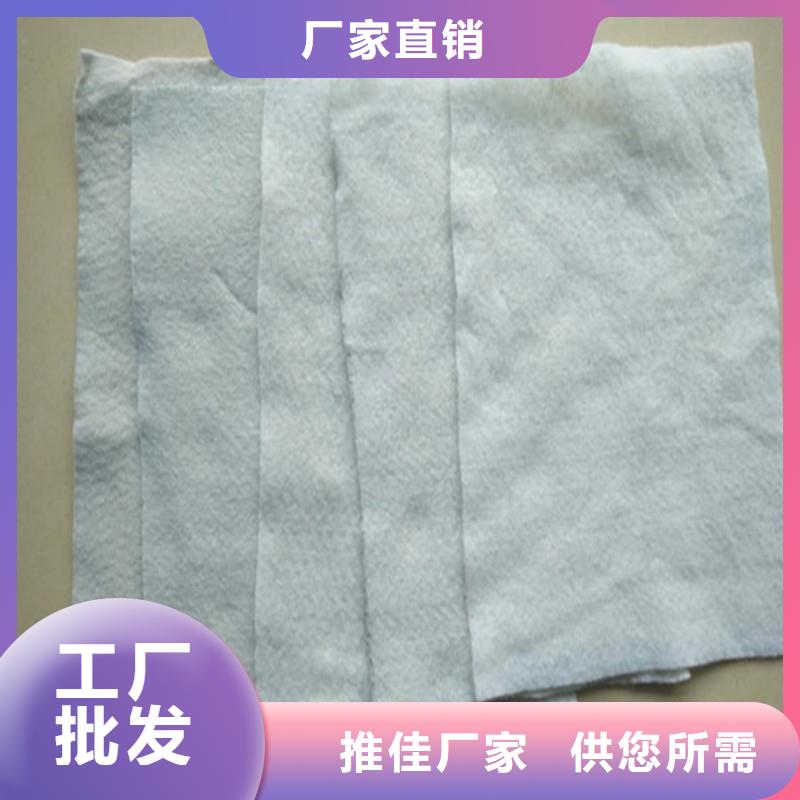 防渗土工布生产厂家