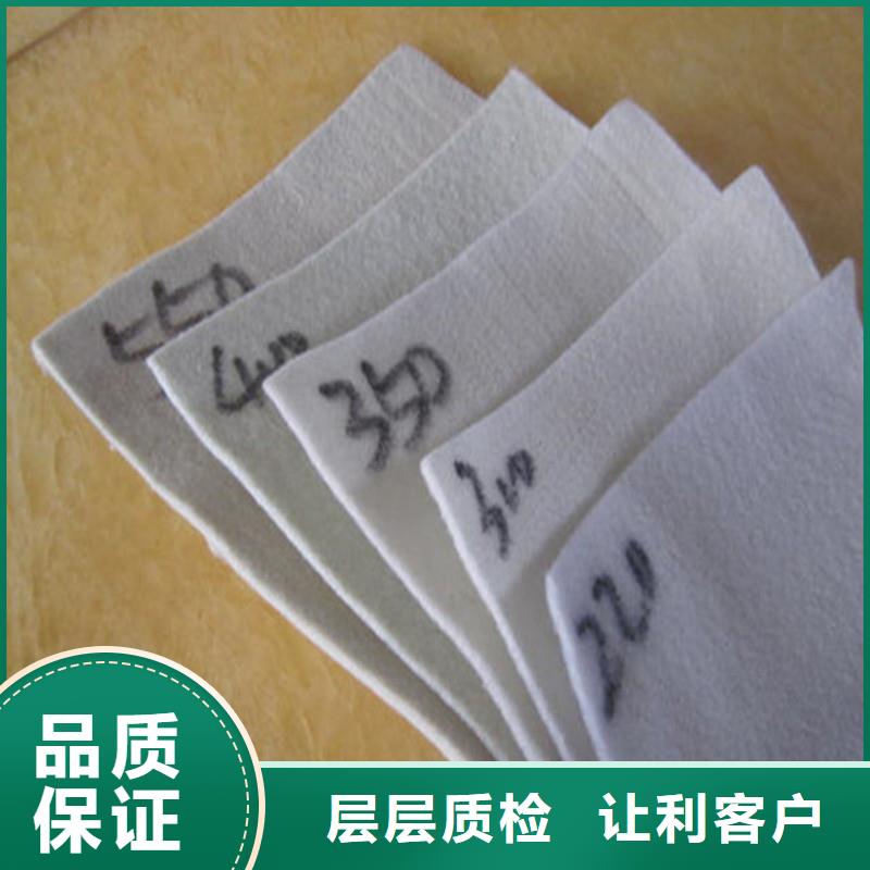 土工布矿用阻燃网专注细节更放心
