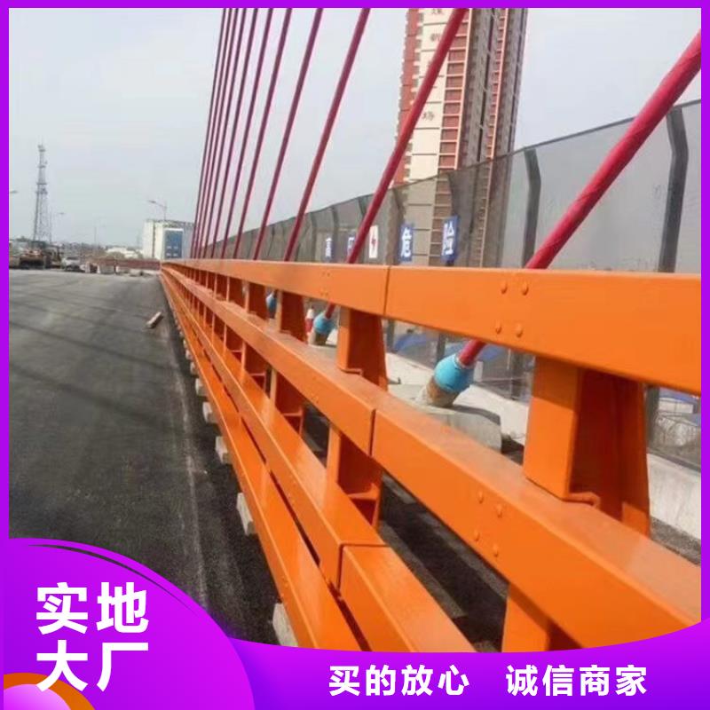 今年新款《神龙》桥梁中央防撞护栏加工厂