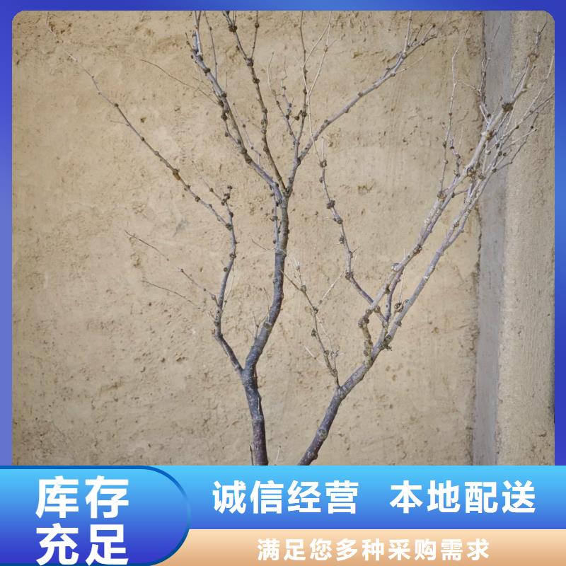仿泥巴稻草漆定制厂家