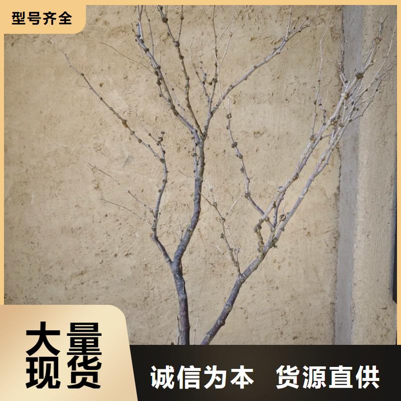 源头厂家生态稻草漆质量优选