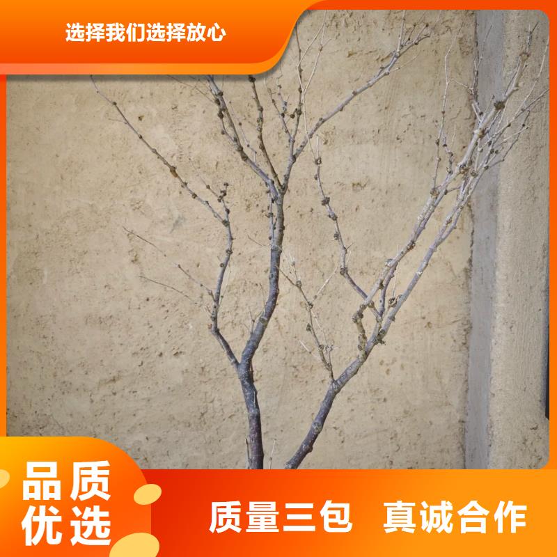 室外稻草漆价格