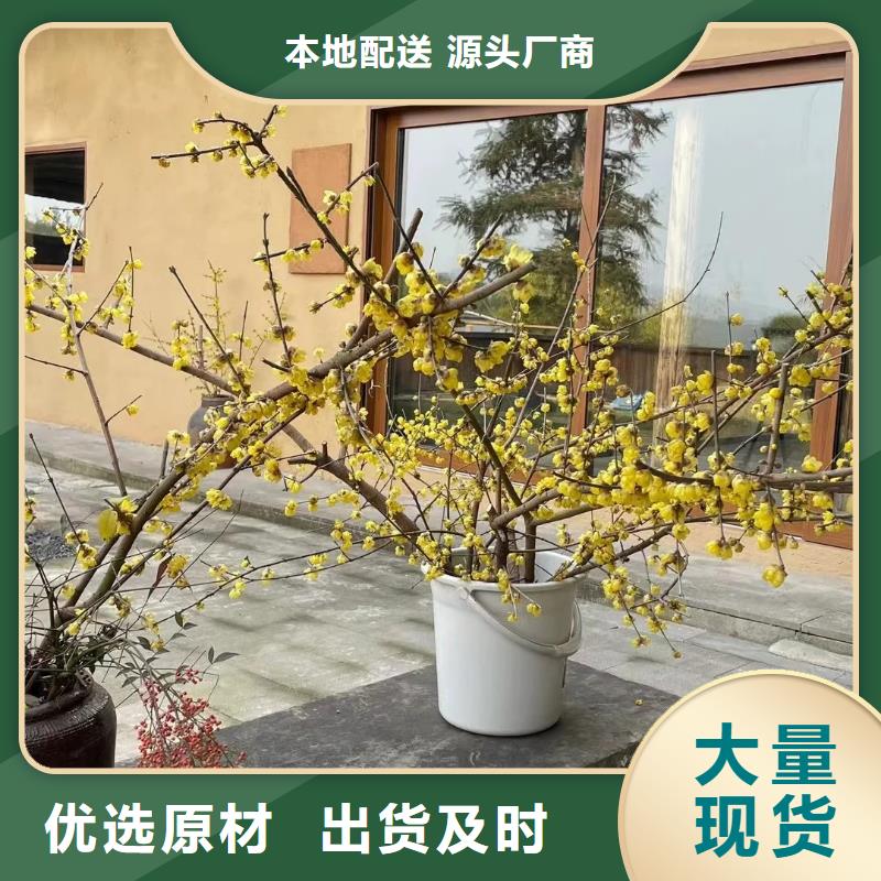 外墙稻草漆供货商