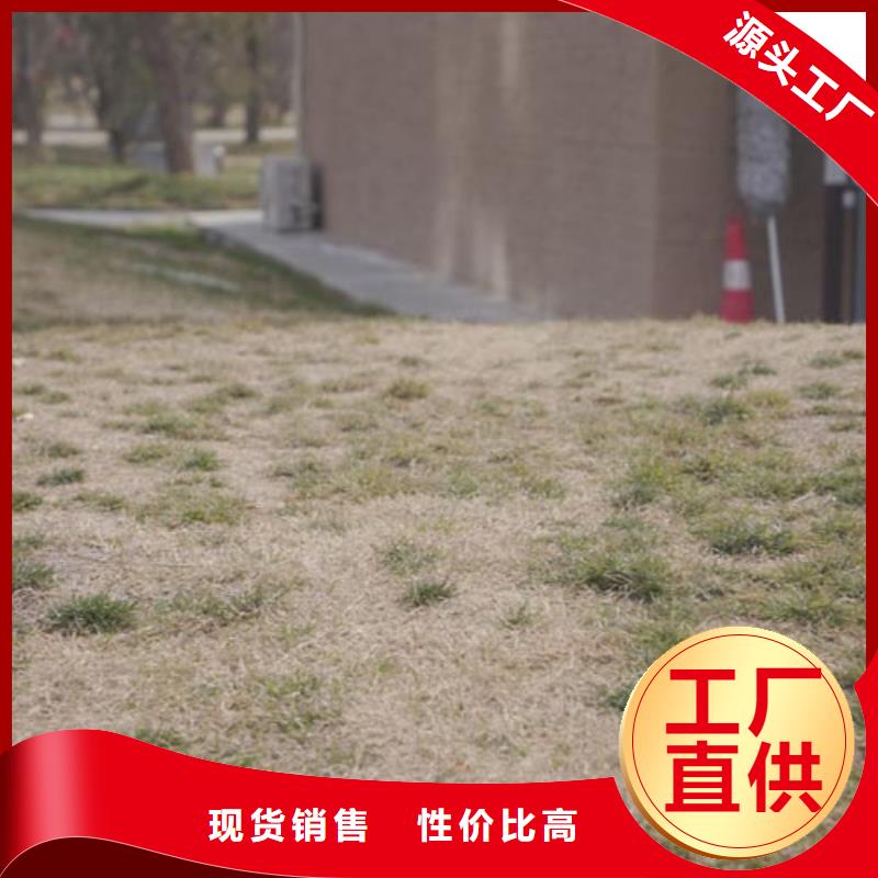 外墙夯土漆实力老厂