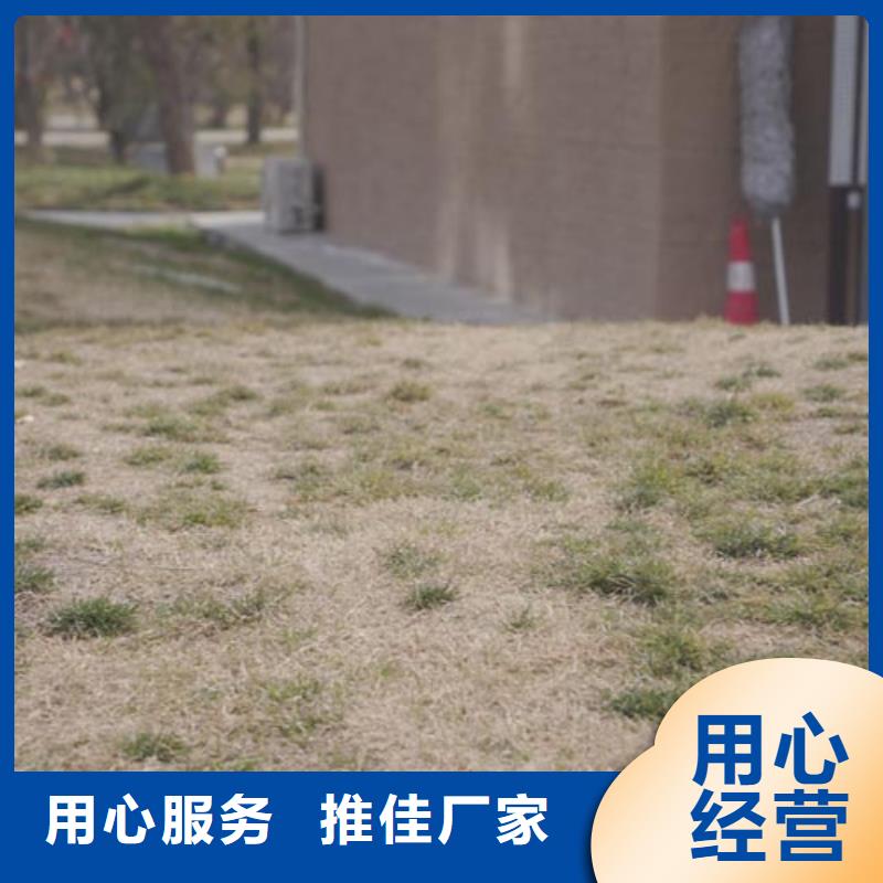 外墙夯土漆源头工厂买的放心