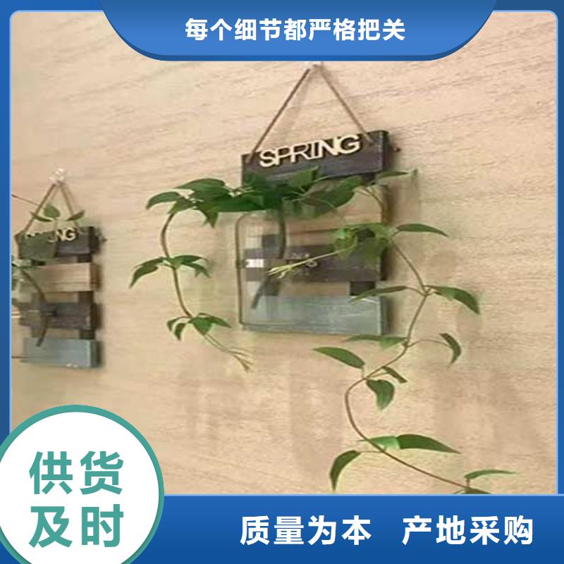 质感肌理漆厂家现货