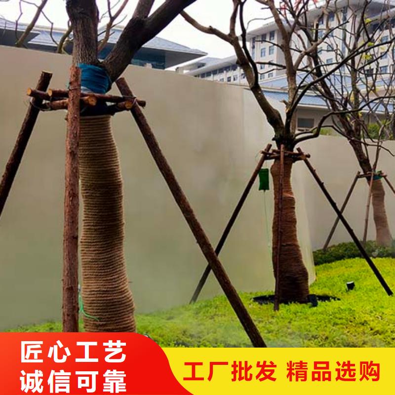 白色微水泥采购价格