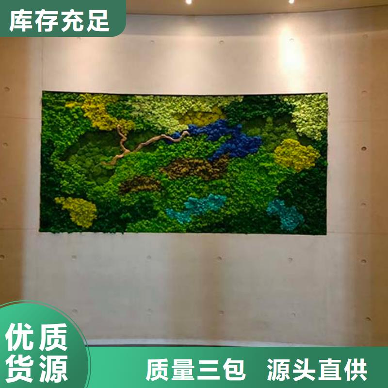 室内水泥漆口碑好