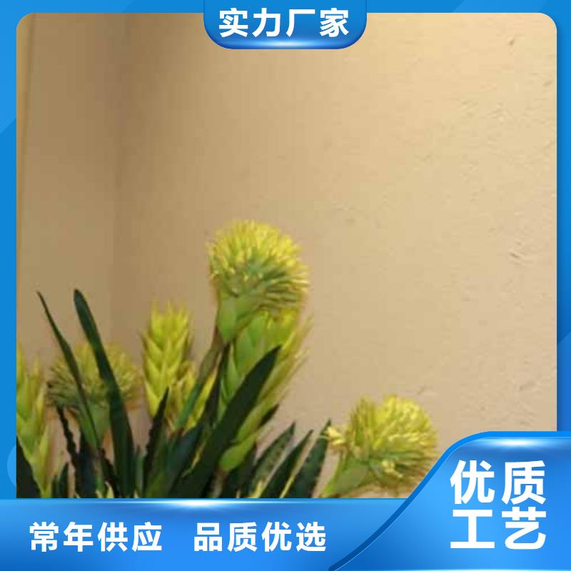 内墙雅晶石图片