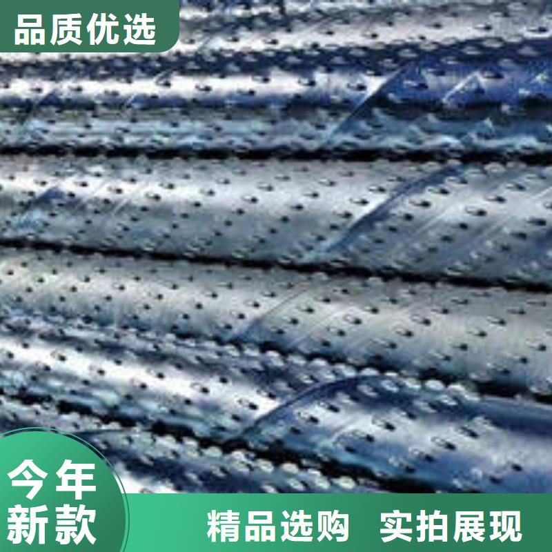 镀锌桥式滤水管型号齐全